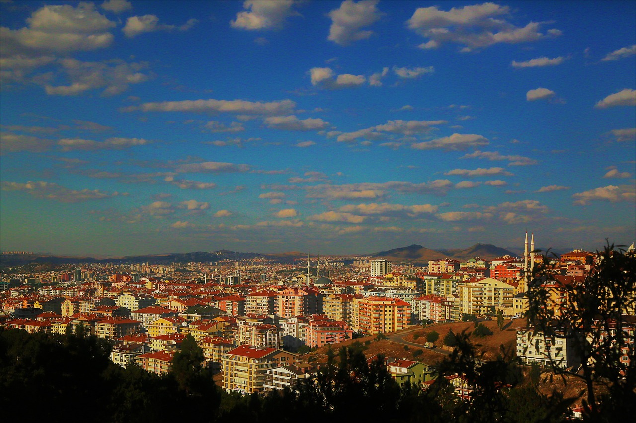 Katılımcılar ve Faaliyetler