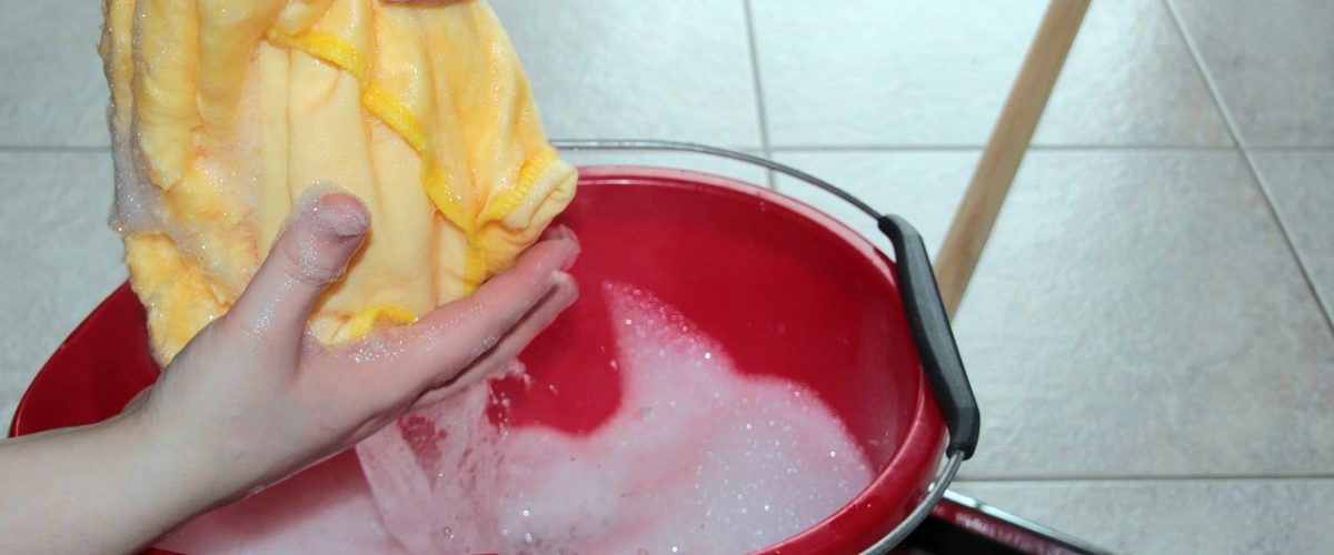 Aydın Temizlikçi Kiralama