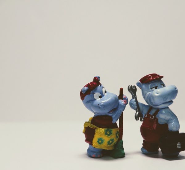 Bolu Temizlik Rezervasyonu