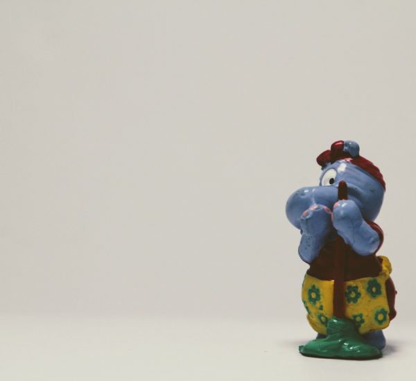 Bolu Temizlikçi Kaydı