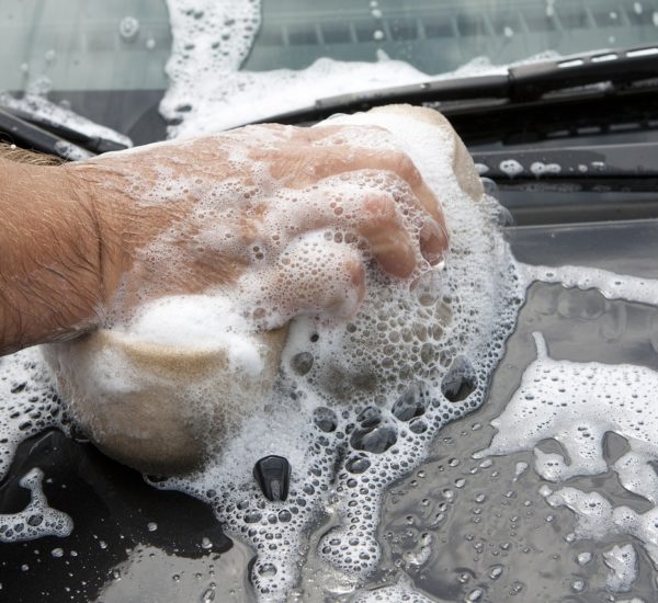 Burdur Ev Temizlikçisi Arıyorum