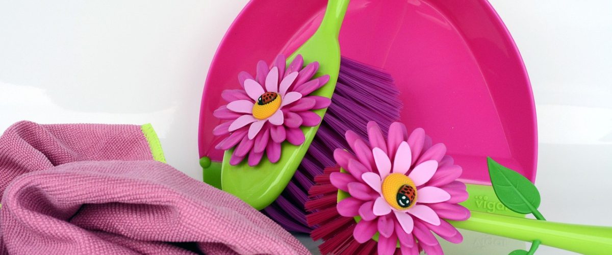 Burdur Temizlikçi Bul