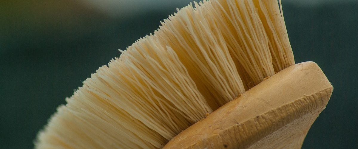 Burdur Temizlikçi Fiyatları