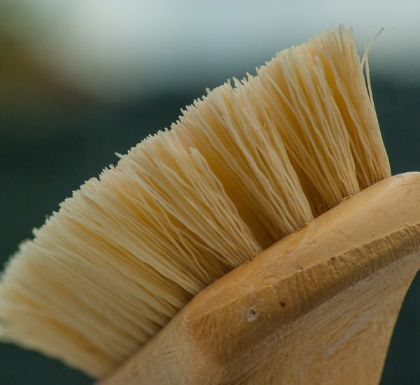 Burdur Temizlikçi Fiyatları