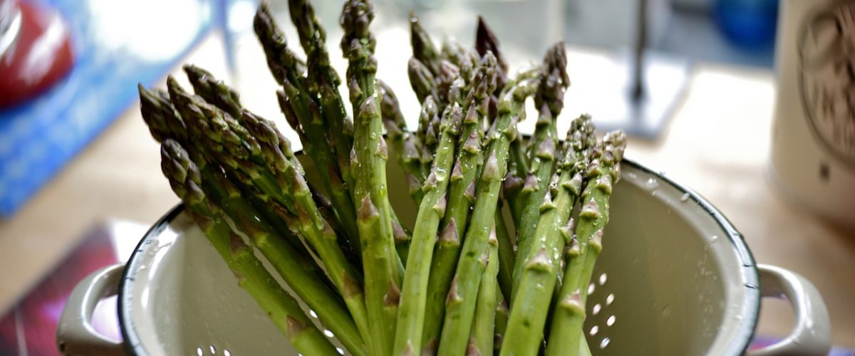 Burdur Temizlikçi İlanları