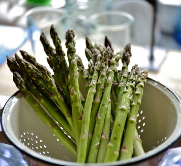 Burdur Temizlikçi İlanları