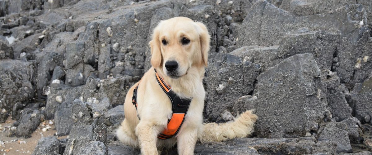 Burdur Temizlikçi Kaydı