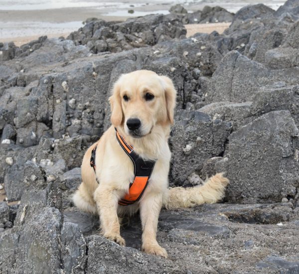 Burdur Temizlikçi Kaydı