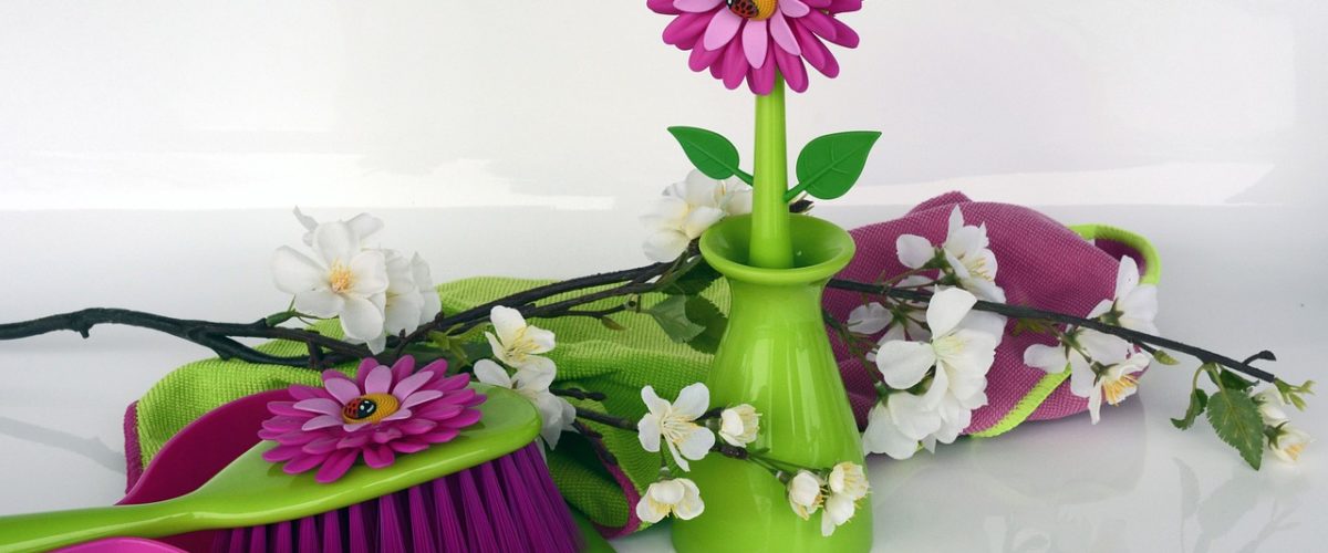 Burdur Temizlikçi Üyelik