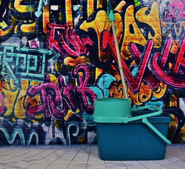 Denizli Ev Temizlikçisi Arıyorum