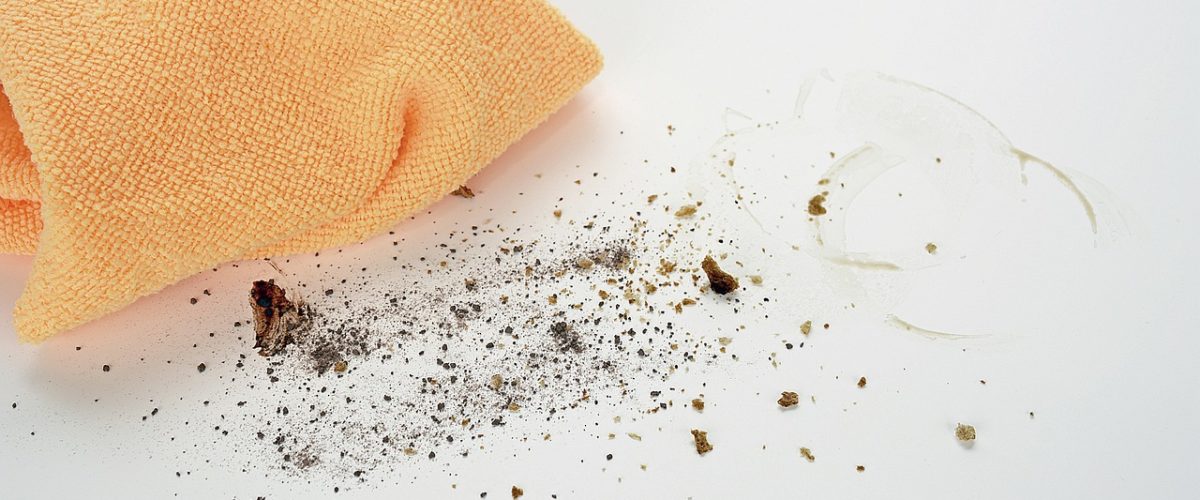 Denizli Profesyonel Temizlikçi