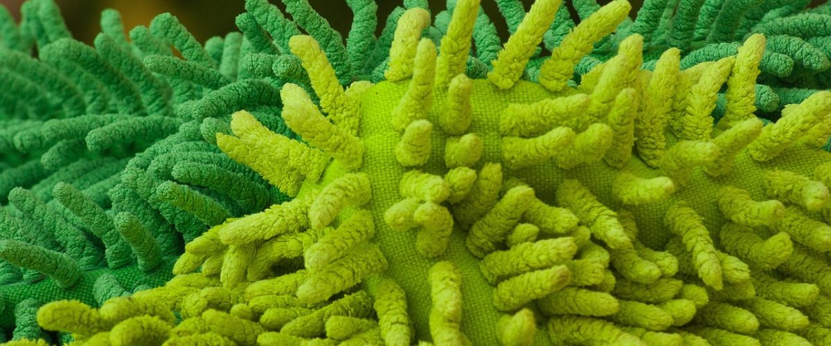 Denizli Temizlikçi İlanları