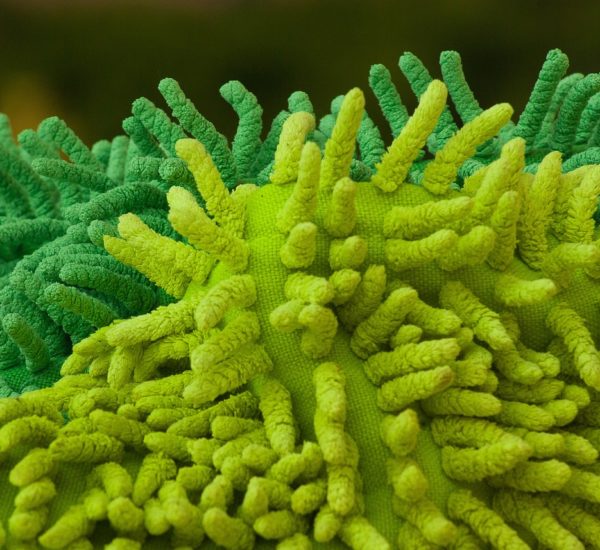 Denizli Temizlikçi İlanları