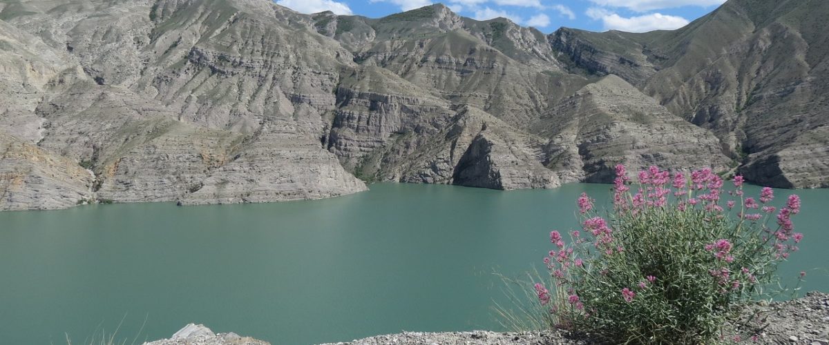 Erzurum Günlük Temizlik