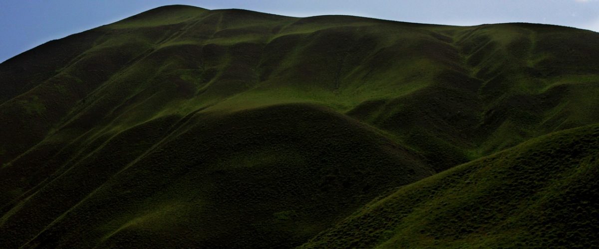 Hakkari Günü Birlik Temizlik