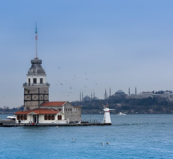 İstanbul Arnavutköy Temizlikçi Yorumları