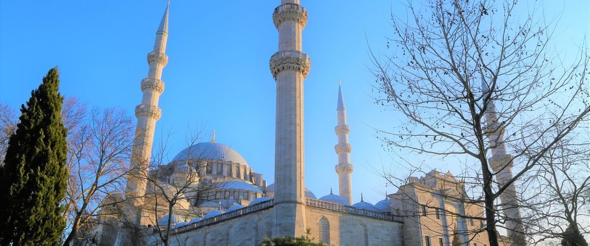 İstanbul Beşiktaş Günlük Temizlikçi Bul