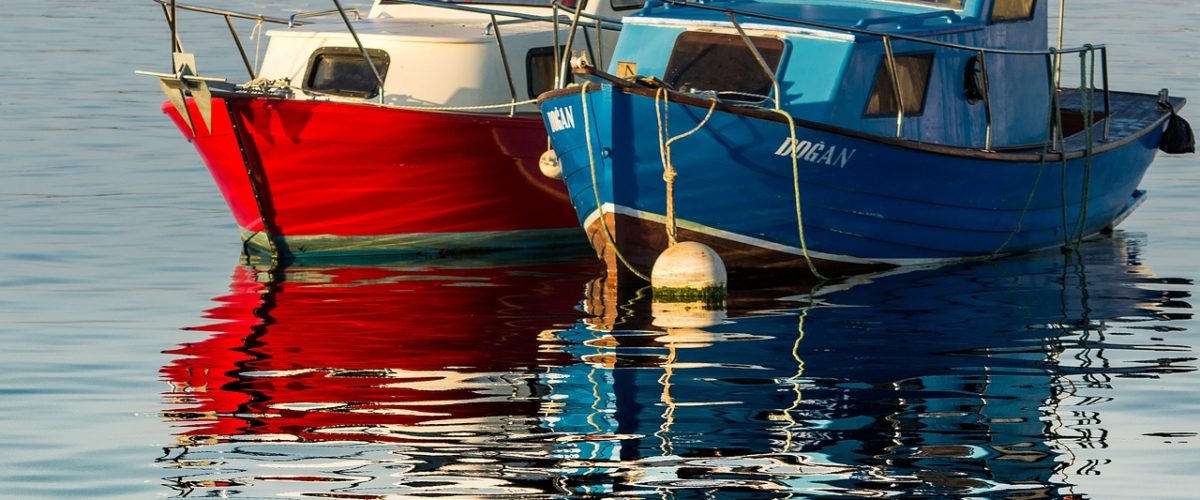 İstanbul Şile Günübirlik Temizlikçi