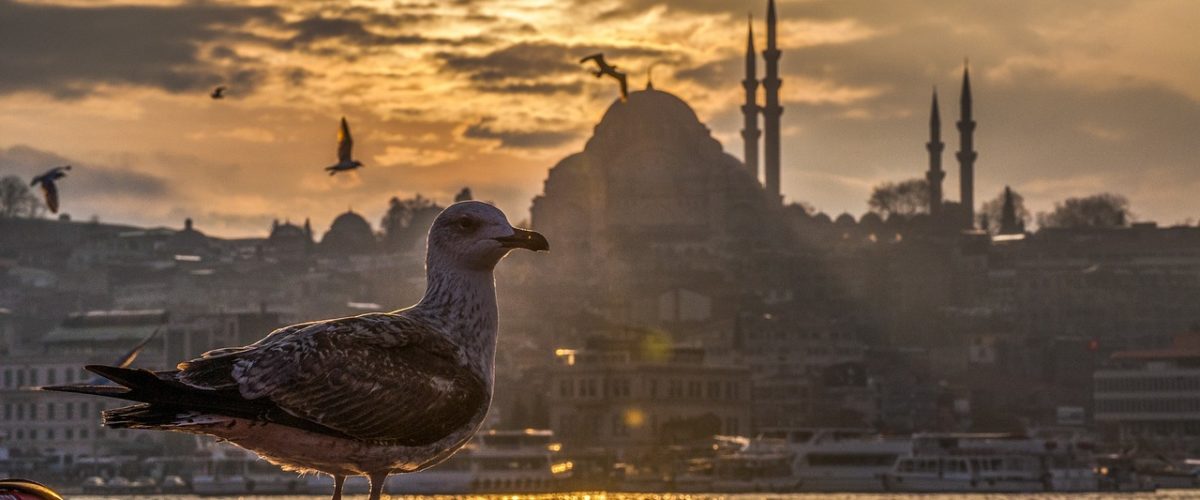 İstanbul Üsküdar Ev Temizlikçisi Arıyorum