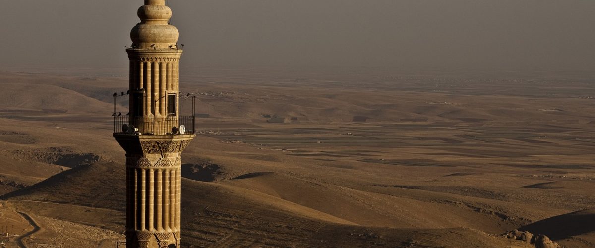 Mardin Temizlik Rezervasyonu