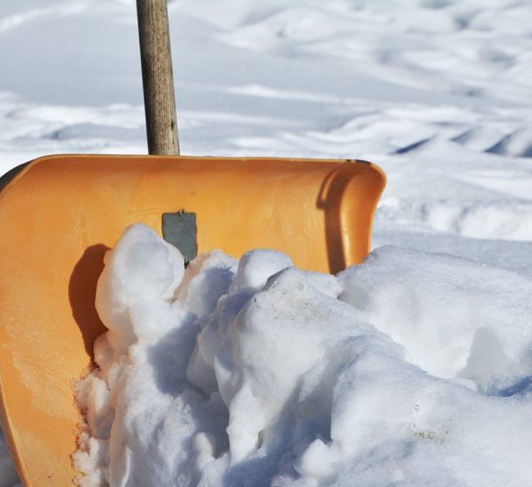 Tunceli Temizlikçi Yorumları